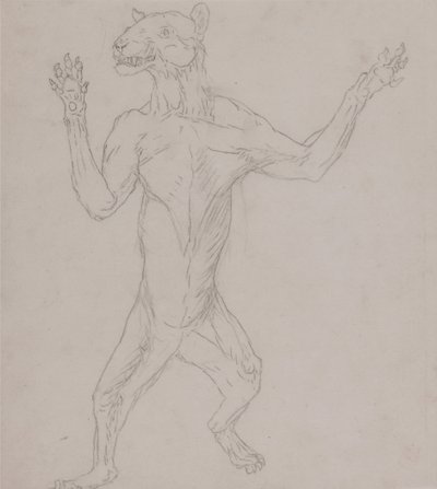 A Comparative Anatomical Exposition of the Structure of the Human Body with that of a Tiger and a Cow by George Stubbs